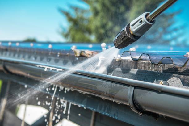 Best Roof Pressure Washing  in Carrabelle, FL