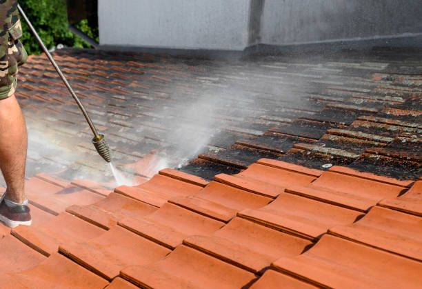 Best Garage Pressure Washing  in Carrabelle, FL