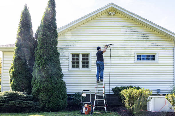 Best House Pressure Washing  in Carrabelle, FL